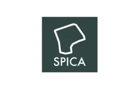 Logo Spica Lifestyle